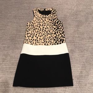 Trendy animal print Twiggy inspired shift dress